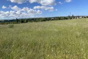 Продам земельный участок, Нахимовский район, г. Осипенко, Крым авт. респ., Россия, агентство Херсонес Недвижимость Продам земельный участок, Нахимовский район, г. Осипенко, Крым авт. респ., Россия, агентство Херсонес Недвижимость