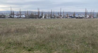 Купить земельный участок в г. Осипенко. Фотография №2 Купить земельный участок в г. Осипенко. Фотография №2