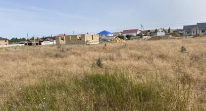 Купить земельный участок в г. Осипенко. Фотография №2 Купить земельный участок в г. Осипенко. Фотография №2