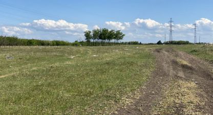 Купить земельный участок на улице Полевая г. Индустриальный. Фотография №4