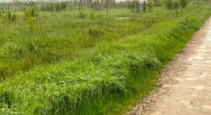 Купить земельный участок в г. Григорьевская ст-ца. Фотография №2