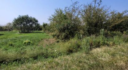 Купить земельный участок. Фотография №1 Продам земельный участок, на улице 2-я викторианская ул, г. Старокорсунская ст-ца, Краснодарский край, Россия, агентство Аурус-Риэлт. Фотография №1