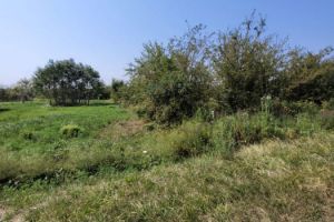 Продам земельный участок, на улице 2-я викторианская ул, г. Старокорсунская ст-ца, Краснодарский край, Россия, агентство Аурус-Риэлт Продам земельный участок, на улице 2-я викторианская ул, г. Старокорсунская ст-ца, Краснодарский край, Россия, агентство Аурус-Риэлт