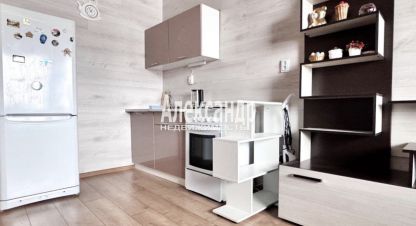 Купить квартиру в г. Мурино. Фотография №2