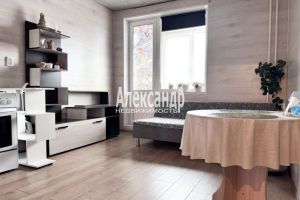 Продам квартиру с общей площадью 21м2, 10/18 эт., на улице Ленинградская всеволожский  мурино авиаторов балтики, Всеволожский район, г. Мурино, Ленинградская обл., Россия, агентство Александр-Недвижимость