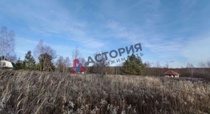 Купить земельный участок г. Новоселки. Фотография №4