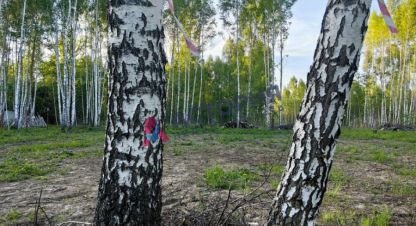 Купить земельный участок. Фотография №9 Купить земельный участок, Россия, г. Тула. Фотография №9