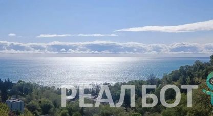 Снять квартиру 1 комнатную, 25 кв. м. Фотография №1 Сдам квартиру 1 комнатную с общей площадью 25м2, 2/3 эт., на улице Звездная, г. Хоста, Краснодарский край, Россия, агентство Реал недвижимость. Фотография №1