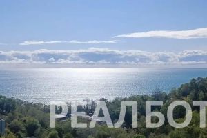 Сдам квартиру 1 комнатную с общей площадью 25м2, 2/3 эт., на улице Звездная, г. Хоста, Краснодарский край, Россия, агентство Реал недвижимость Сдам квартиру 1 комнатную с общей площадью 25м2, 2/3 эт., на улице Звездная, г. Хоста, Краснодарский край, Россия, агентство Реал недвижимость