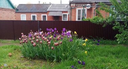 Купить дом 5-ти комнатную, 76.2 кв. м. Фотография №10 Купить дом 5-ти комнатную, 76.2 кв. м., Россия, г. Новотитаровская ст-ца. Фотография №10