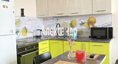 Продам квартиру с общей площадью 23.9м2, 17/19 эт., на улице Ленинградская всеволожский  мурино шувалова 27/7 подъезд, Всеволожский район, г. Мурино, Ленинградская обл., Россия, агентство Александр-Недвижимость. Фотография №1
