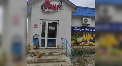 Купить торговое помещение в г. Пок новосельский. Фотография №2 Купить торговое помещение в г. Пок новосельский. Фотография №2