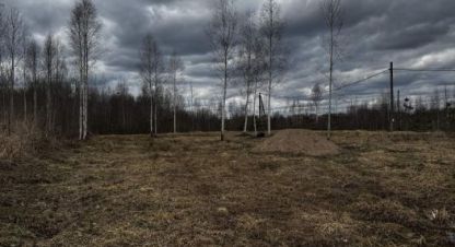 Купить земельный участок. Фотография №1 Продам земельный участок, на улице Морская, г. Д белая гора, Новгородская обл., Россия, агентство Джойнио. Фотография №1