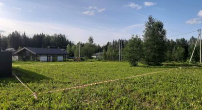 Купить земельный участок в г. Холмы. Фотография №2