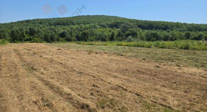 Купить земельный участок в г. Тлюстенхабль. Фотография №2