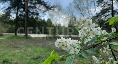 Купить земельный участок. Фотография №8 Купить земельный участок, Россия, г. Ратманово д. Фотография №8