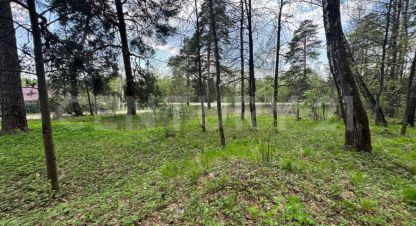 Купить земельный участок в г. Ратманово д. Фотография №3 Купить земельный участок в г. Ратманово д. Фотография №3