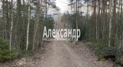 Купить земельный участок на улице Ленинградская выбормалиновый проезд г. Выборг. Фотография №5