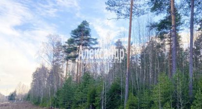 Купить земельный участок в г. Выборг. Фотография №3