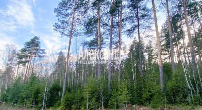 Купить земельный участок в г. Выборг. Фотография №2