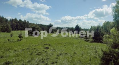 Продаётся земельный участок в г. Поздняково. Фотография №7 Продаётся земельный участок в г. Поздняково. Фотография №7