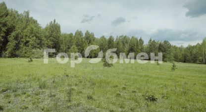 Купить земельный участок в г. Поздняково. Фотография №3 Купить земельный участок в г. Поздняково. Фотография №3