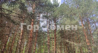 Купить земельный участок. Фотография №1 Продам земельный участок, на улице Строителей, г. Поздняково, Нижегородская обл., Россия, агентство ГорОбмен. Фотография №1