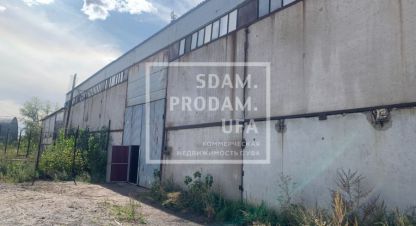 Снять производственно-складское помещение, 220 кв. м., Россия, г. Вавилово. Фотография №9