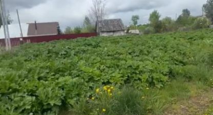 Купить земельный участок на улице - г. Сумино дер. Фотография №4 Купить земельный участок на улице - г. Сумино дер. Фотография №4