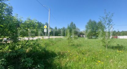 Продаётся земельный участок в г. Кривское тер снт. Фотография №7 Продаётся земельный участок в г. Кривское тер снт. Фотография №7