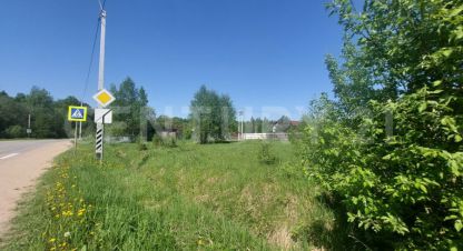 Купить земельный участок г. Кривское тер снт. Фотография №5 Купить земельный участок г. Кривское тер снт. Фотография №5