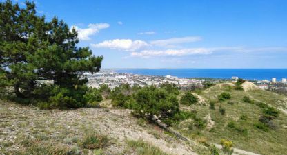 Купить земельный участок в г. Солнечное. Фотография №3 Купить земельный участок в г. Солнечное. Фотография №3