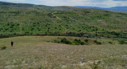 Купить земельный участок в г. Солнечное. Фотография №2 Купить земельный участок в г. Солнечное. Фотография №2