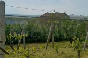 Продам земельный участок, на улице Речная, г. Солнечное, Крым авт. респ., Россия, агентство АН Метр Крым Сочи