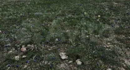 Купить земельный участок в г. Феодосия . Фотография №3