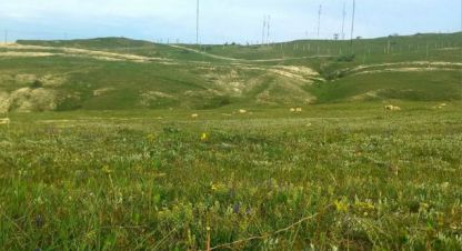 Продаётся земельный участок в г. Феодосия . Фотография №7