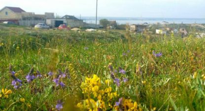 Купить земельный участок в г. Феодосия . Фотография №2