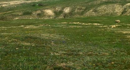 Купить земельный участок, Россия, г. Феодосия . Фотография №8