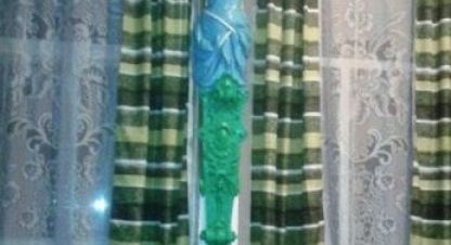 Снять дом в г. Ростов-на-Дону. Фотография №3 Снять дом в г. Ростов-на-Дону. Фотография №3