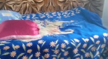 Снять дом в г. Миллерово. Фотография №3 Снять дом в г. Миллерово. Фотография №3