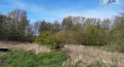 Купить земельный участок г. Филино. Фотография №5