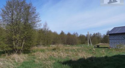 Продаётся земельный участок в г. Филино. Фотография №7