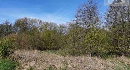 Купить земельный участок, Россия, г. Филино. Фотография №9