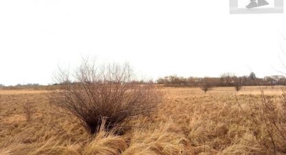 Купить земельный участок, Россия, г. Пок полевое. Фотография №10