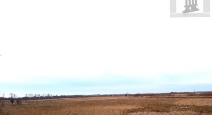 Купить земельный участок, Россия, г. Пок полевое. Фотография №8