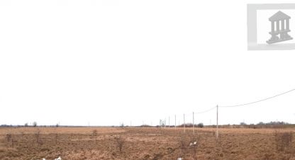 Купить земельный участок, Россия, г. Пок полевое. Фотография №9