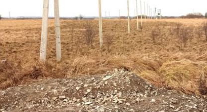 Купить земельный участок в г. Пок полевое. Фотография №3