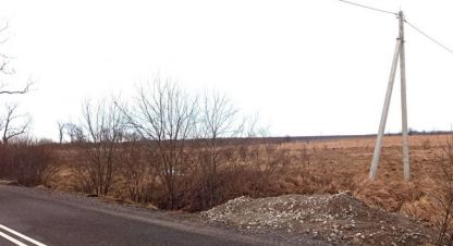 Купить земельный участок в г. Пок полевое. Фотография №2