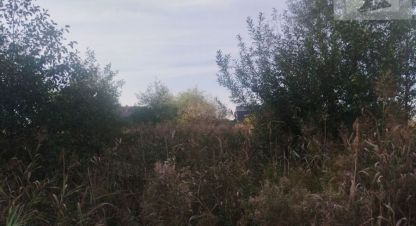 Купить земельный участок г. Раздольное. Фотография №5