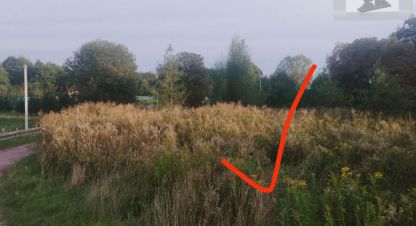 Купить земельный участок г. Раздольное. Фотография №4